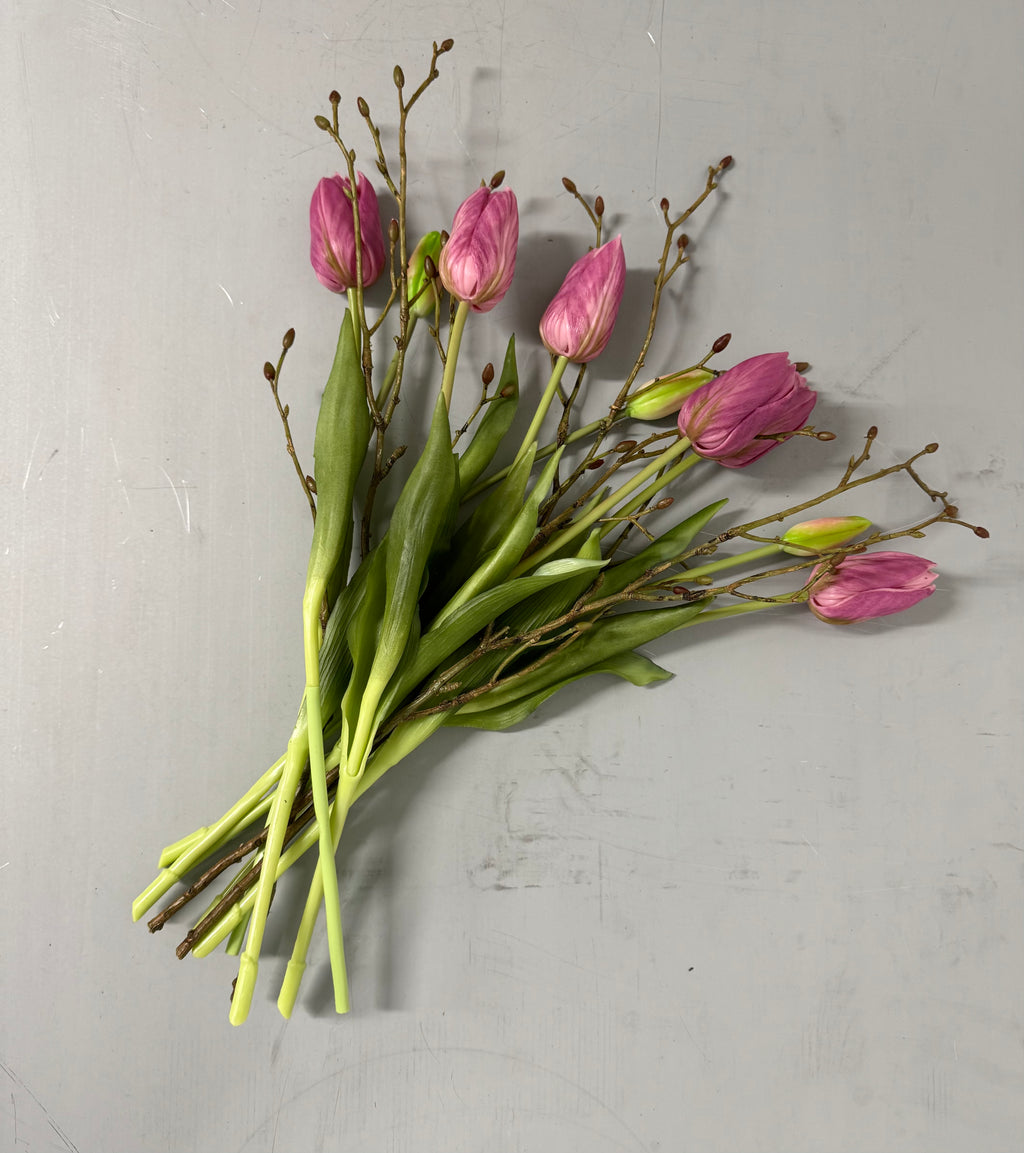 Tulipan stilke med grene