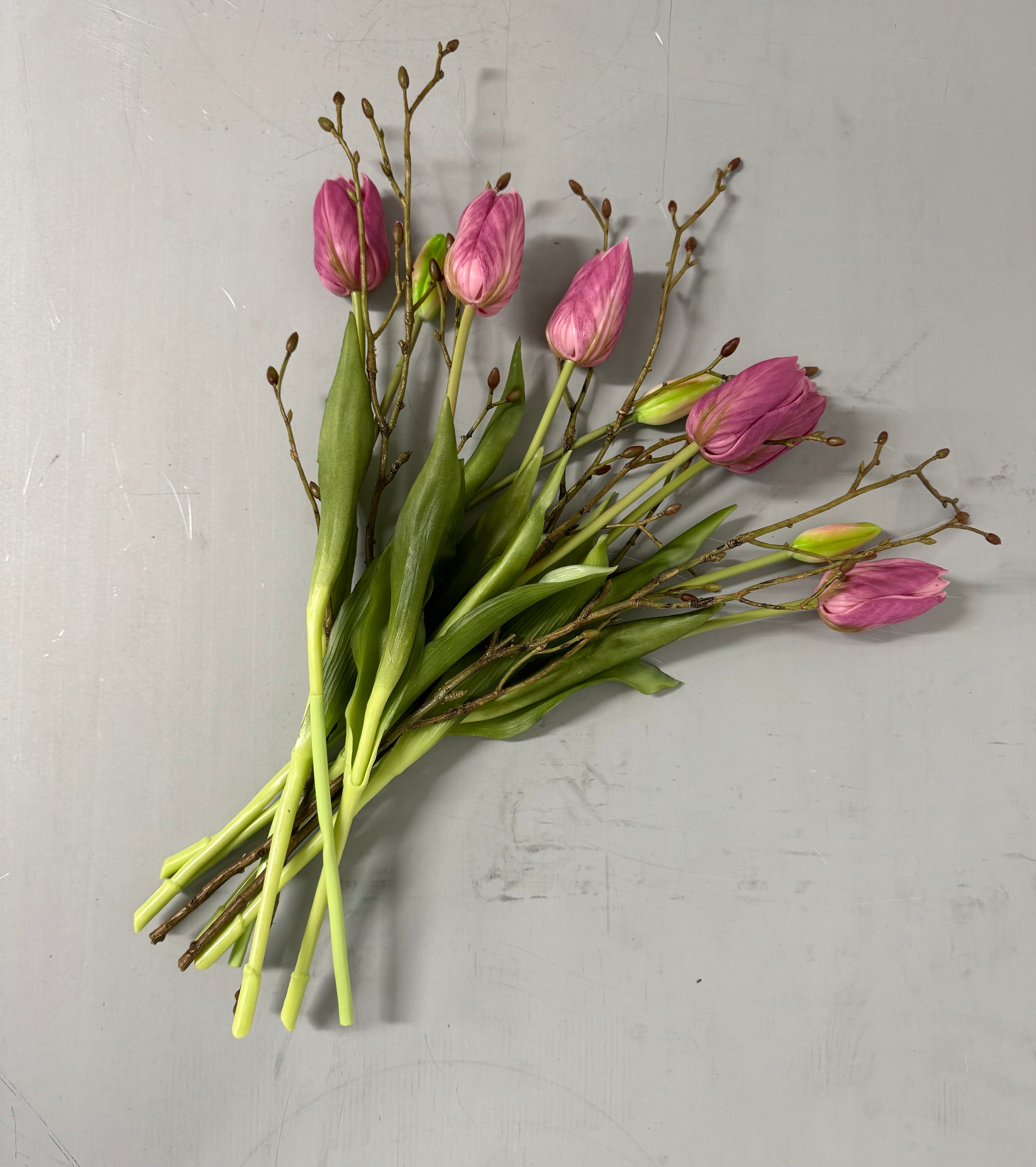 Tulipan stilke med grene