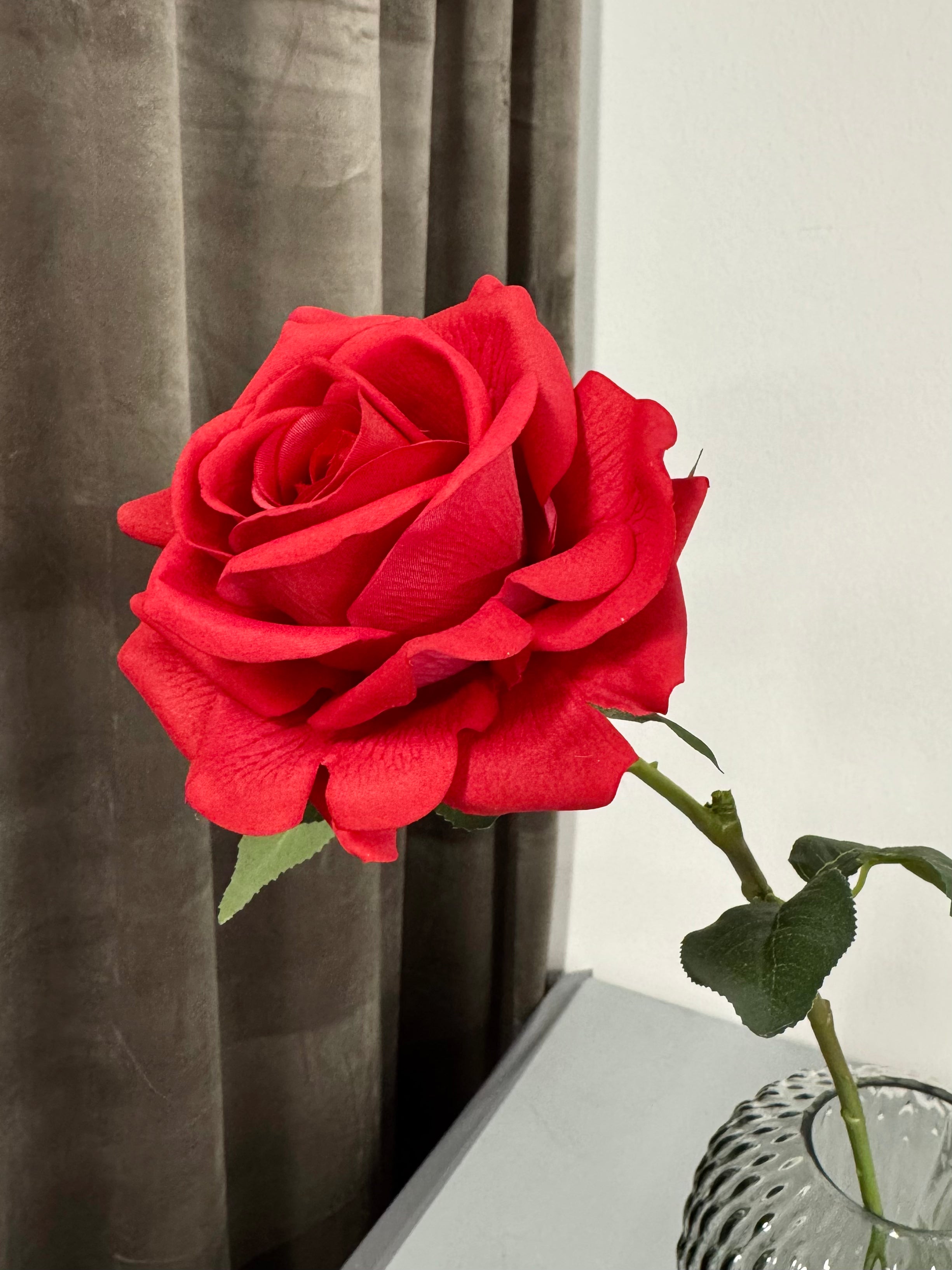 Konfirmations rose stor MED CELLOFAN