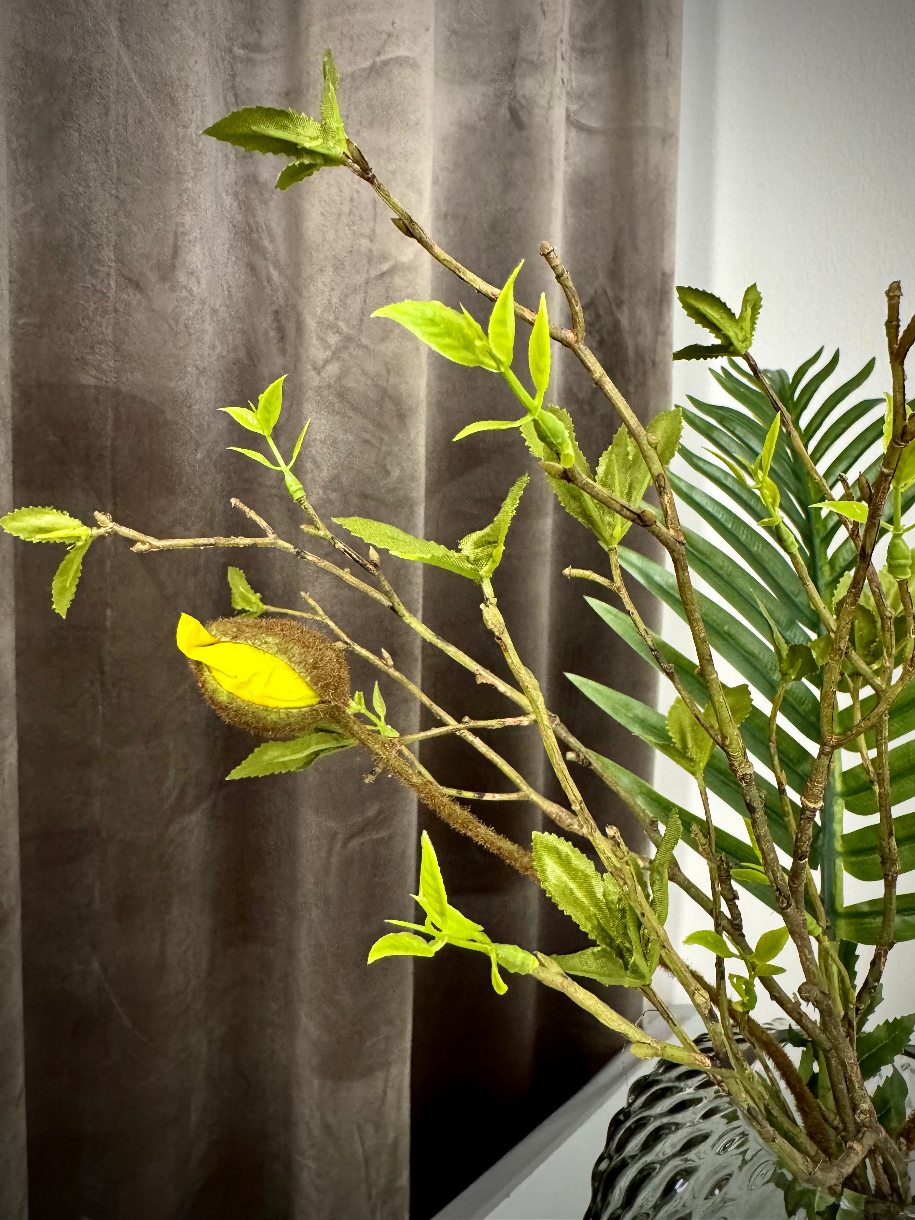 Mix med bla. Gul valmue