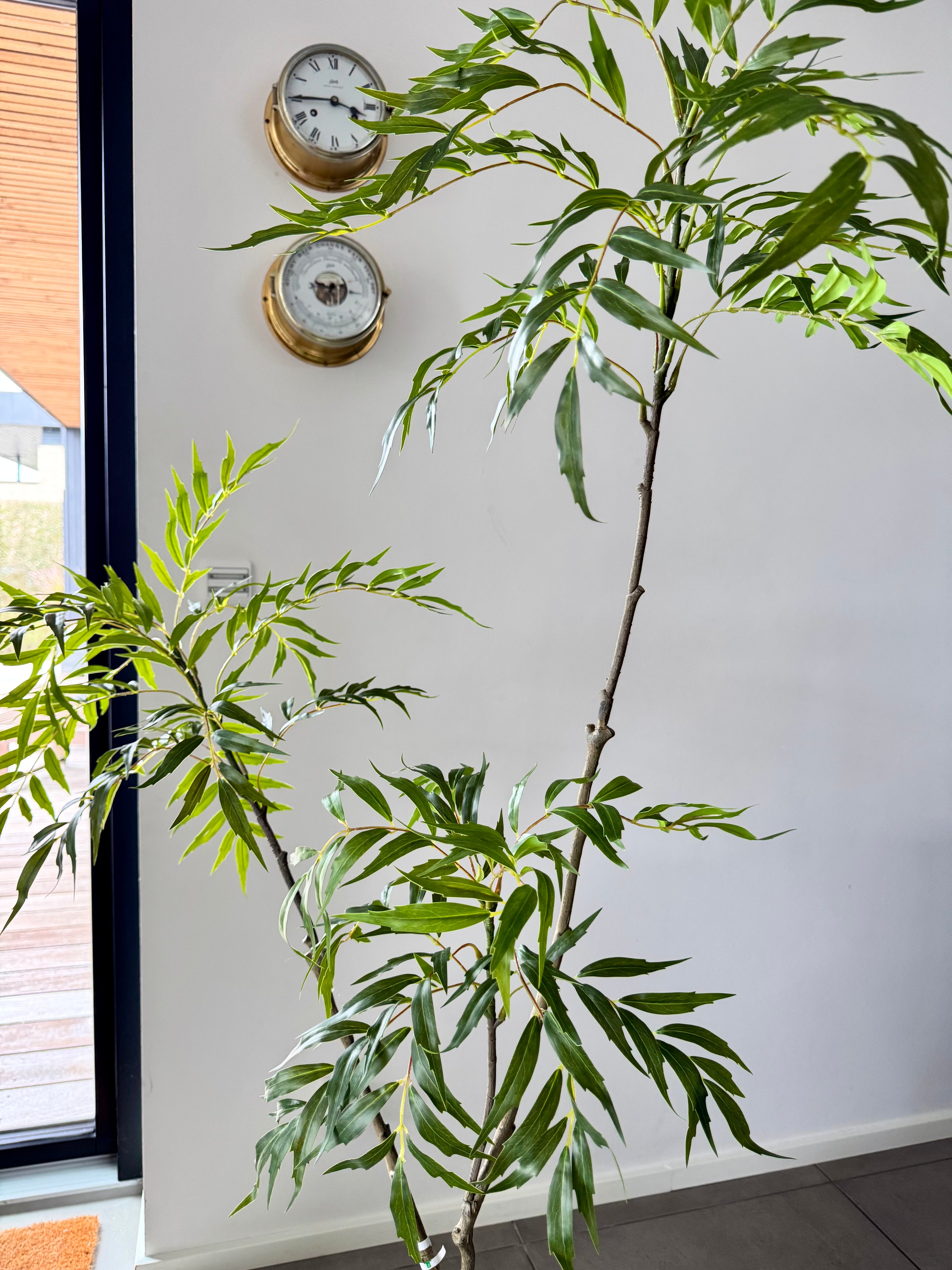 Kærligheds træ 152 cm