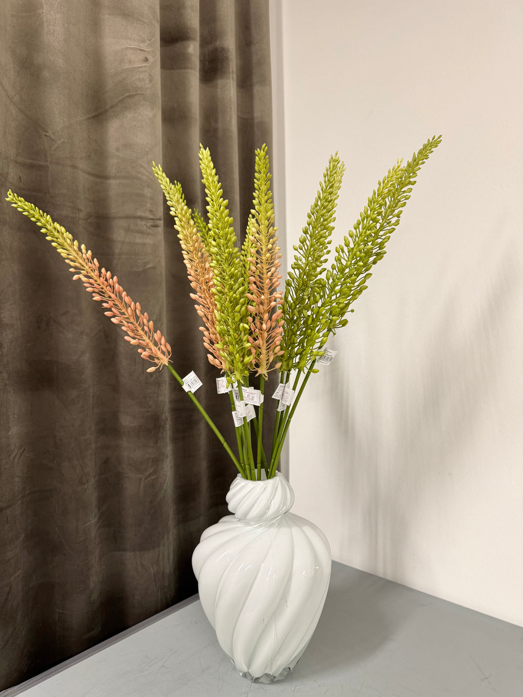 Eremurus lyserød/grøn