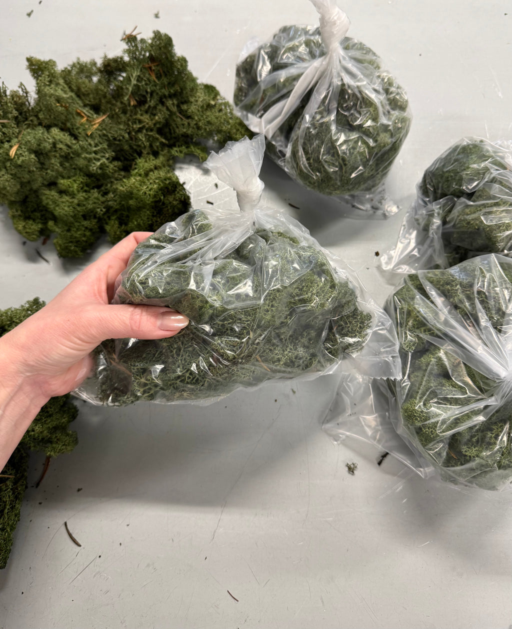 Rensdyr mos mørk grøn