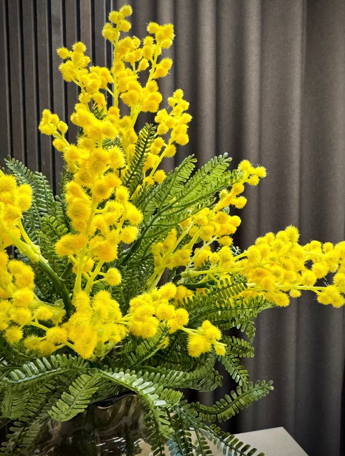 Mimose stilk
