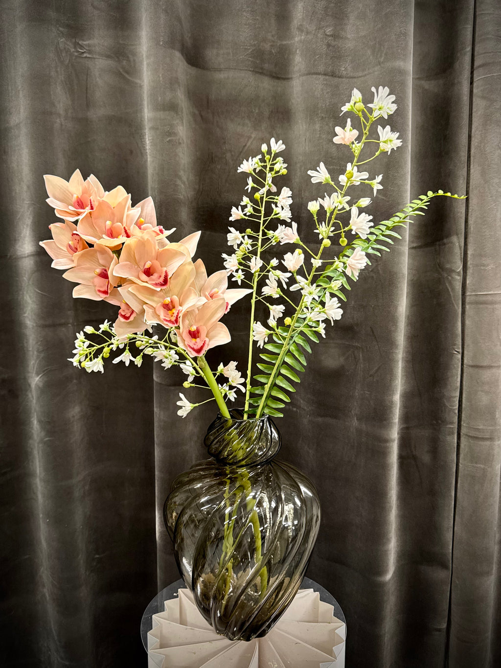 Cymbidium mix