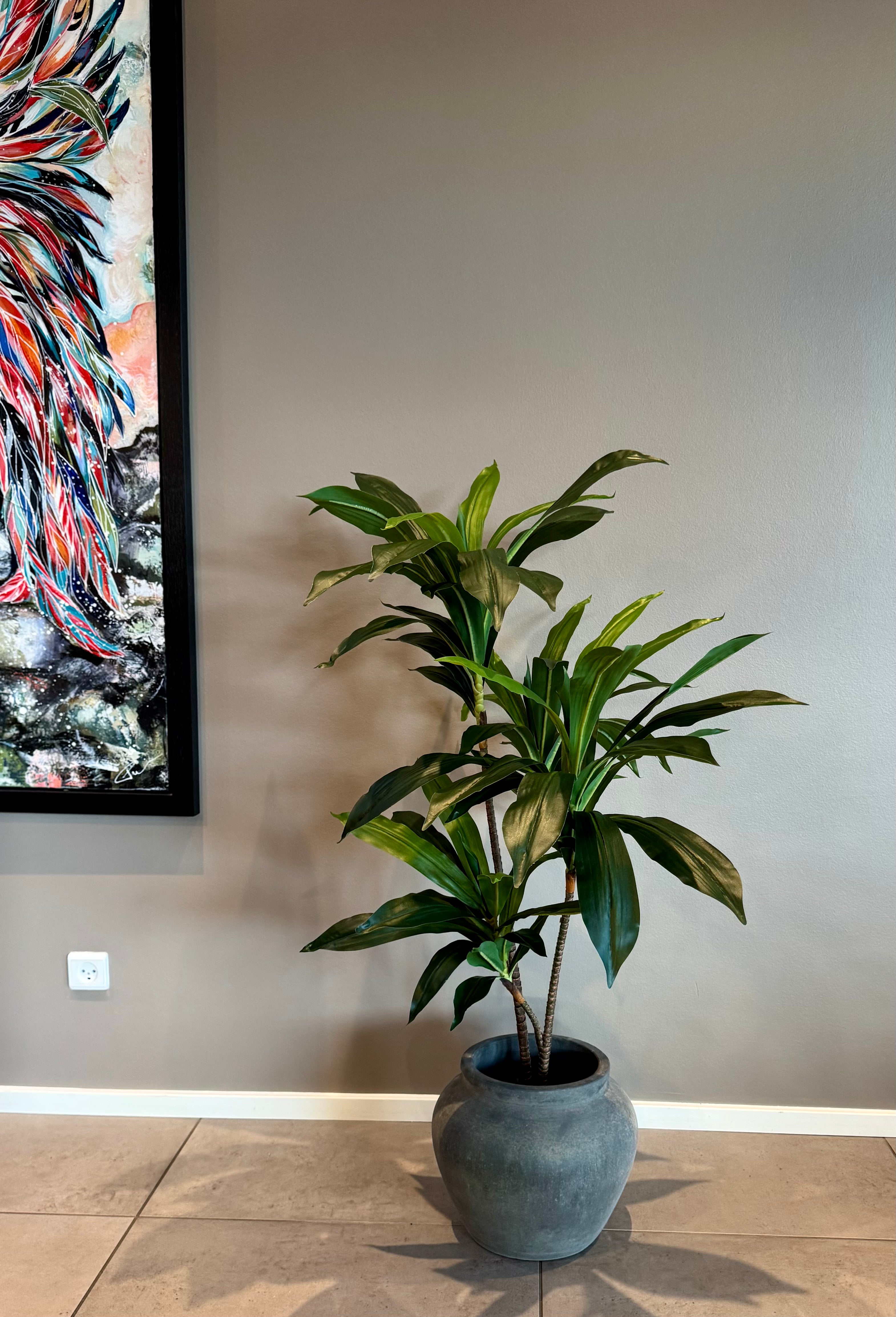 Dracena plante 110 cm