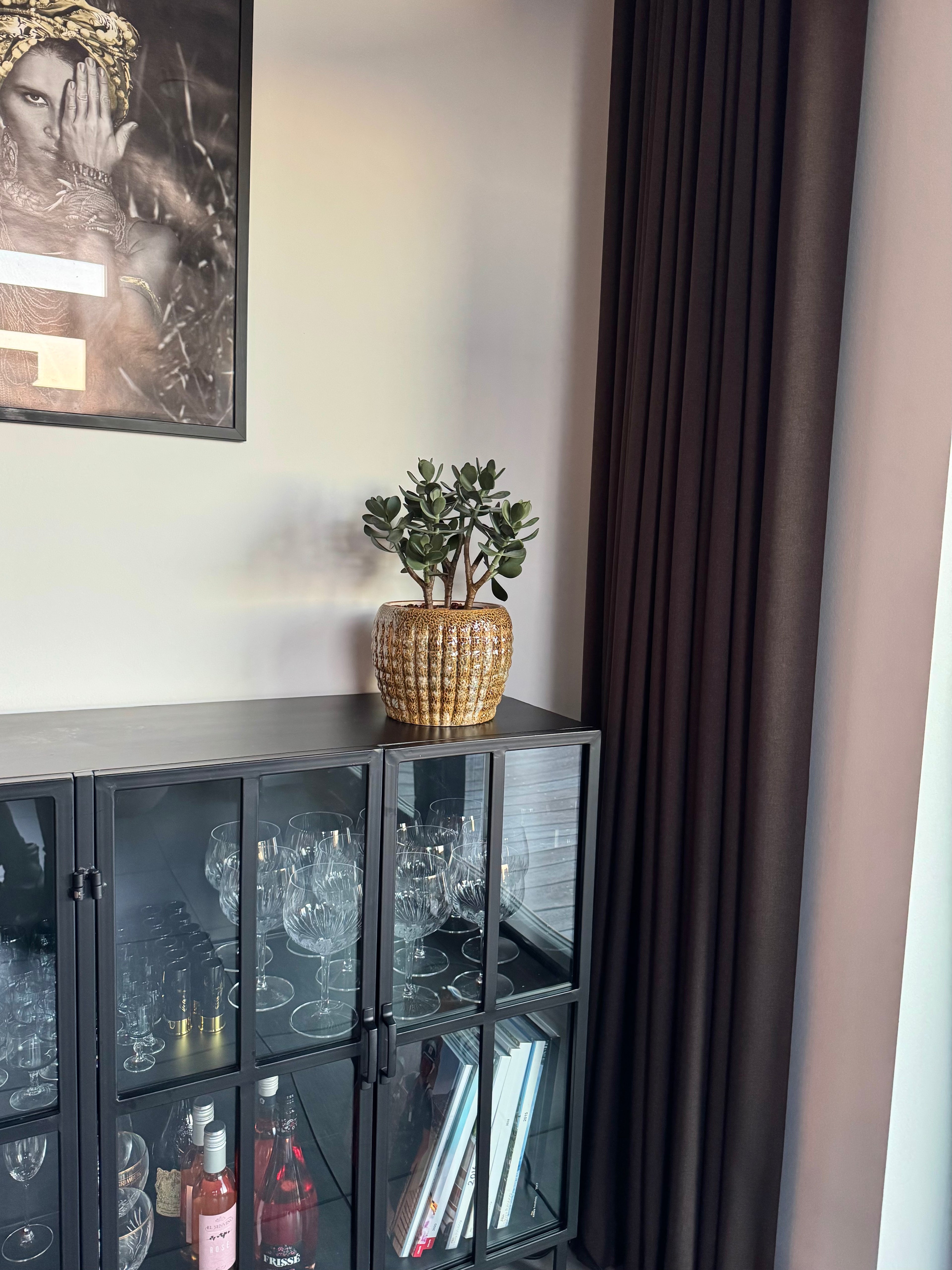 Sukkulent i potte 38 cm