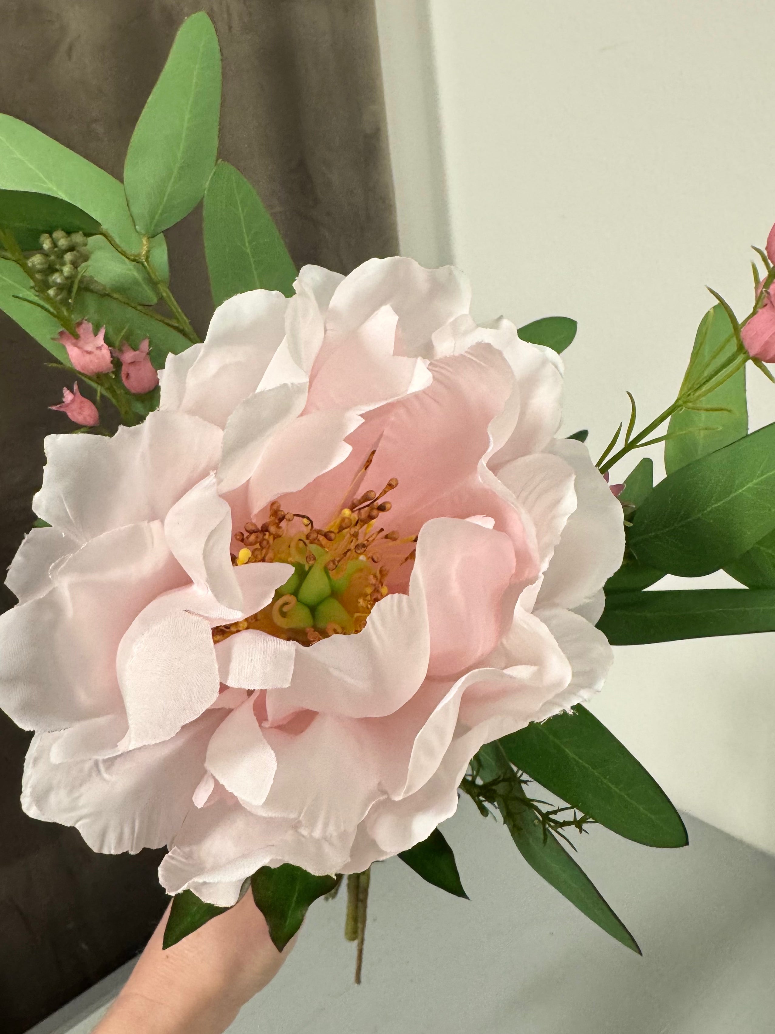 Pæon mix med Lyngblomst