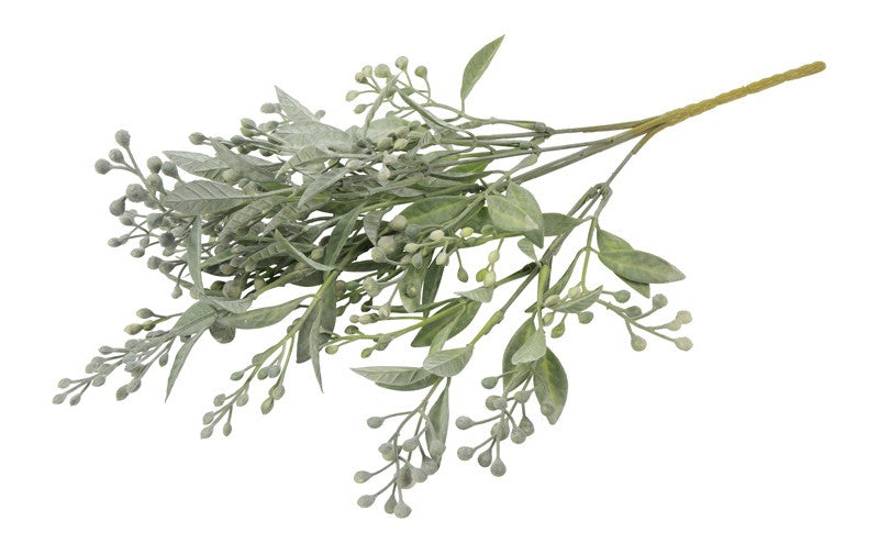 Schinus støvet grå h 35 cm