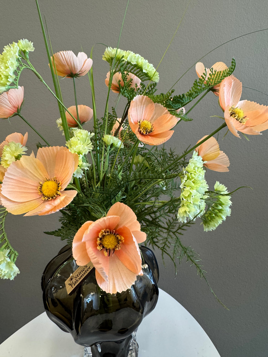 Cosmos peach 10