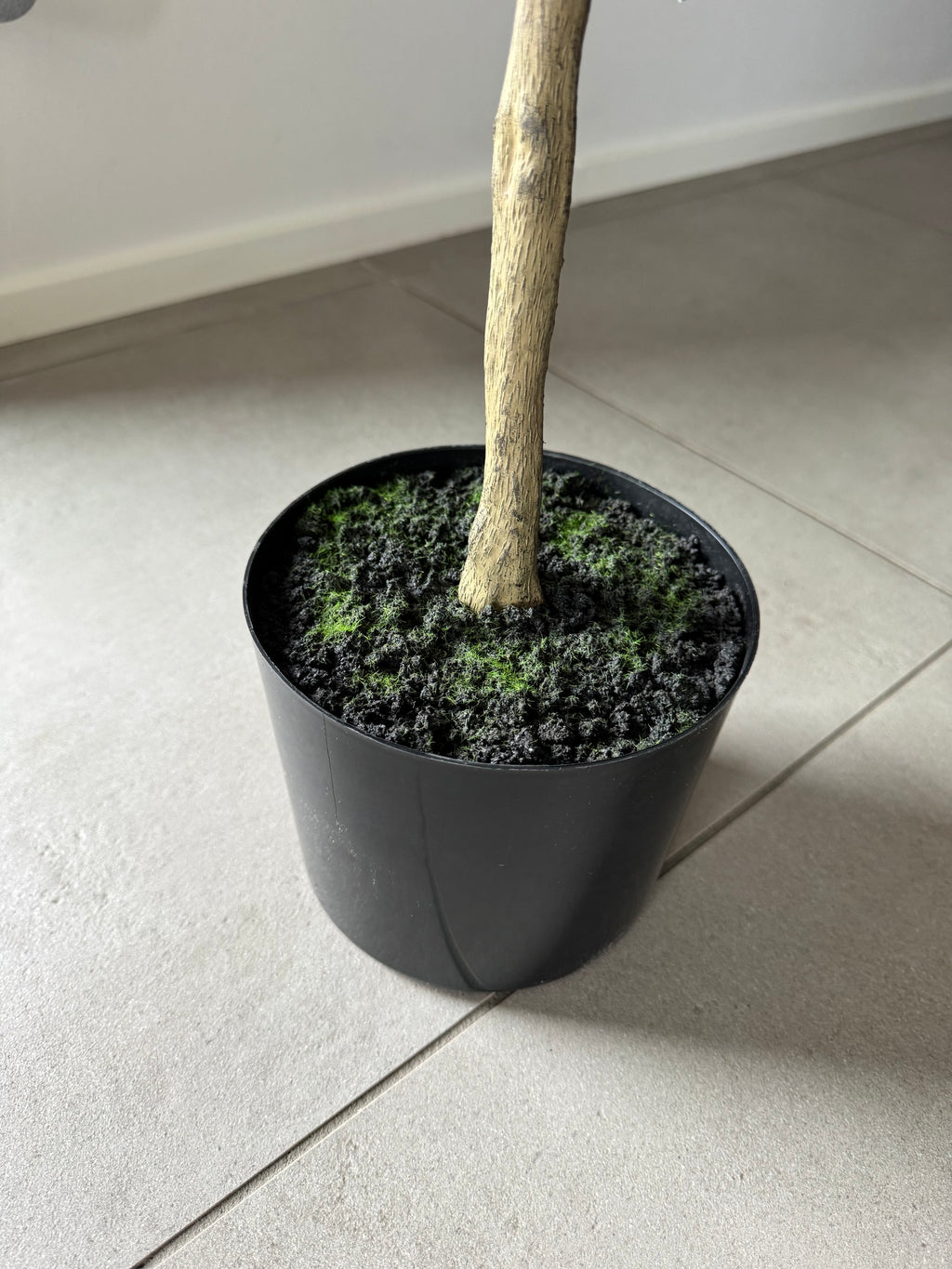 Kærligheds træ 152 cm