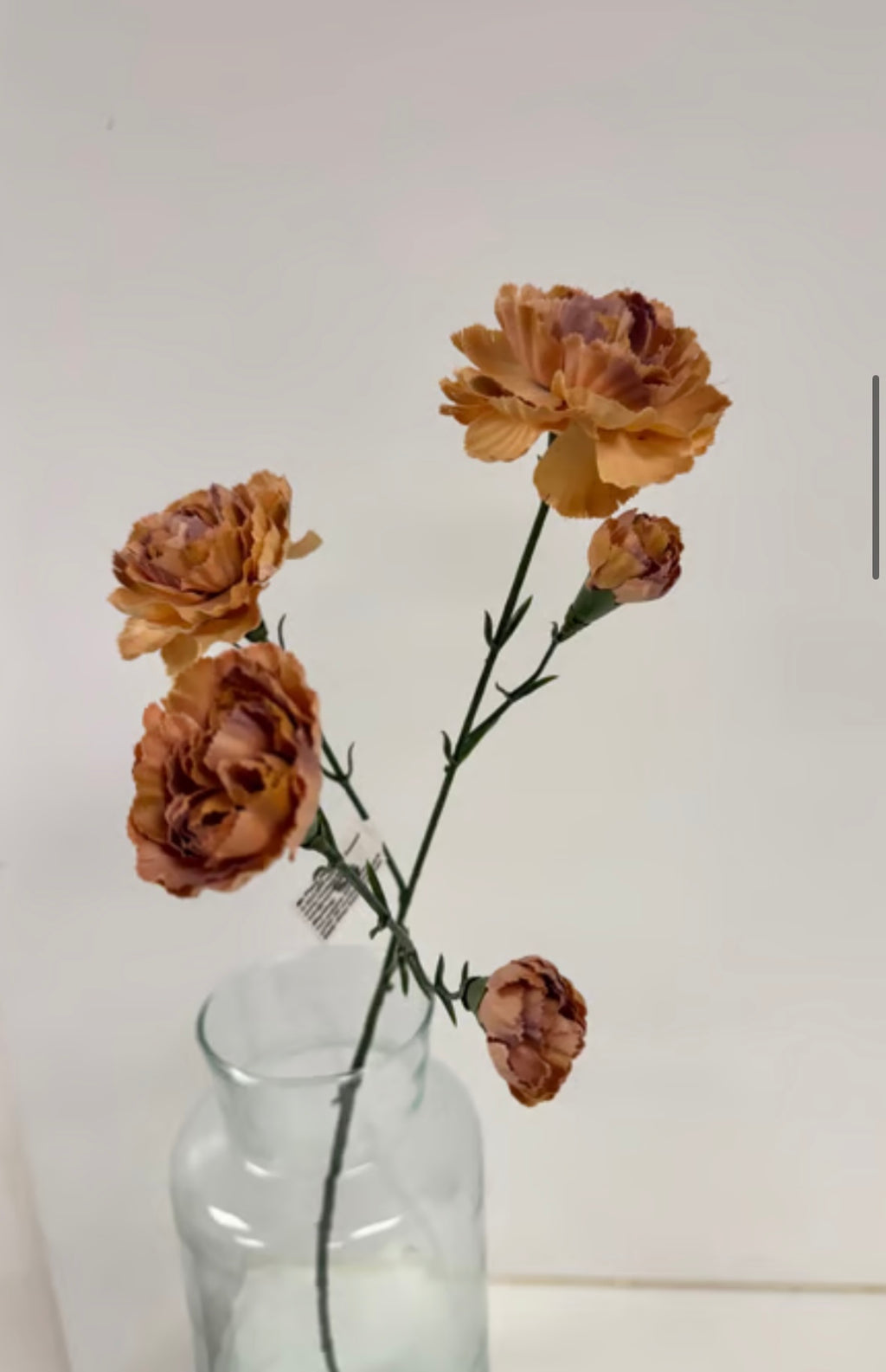 Nellike orange udgår