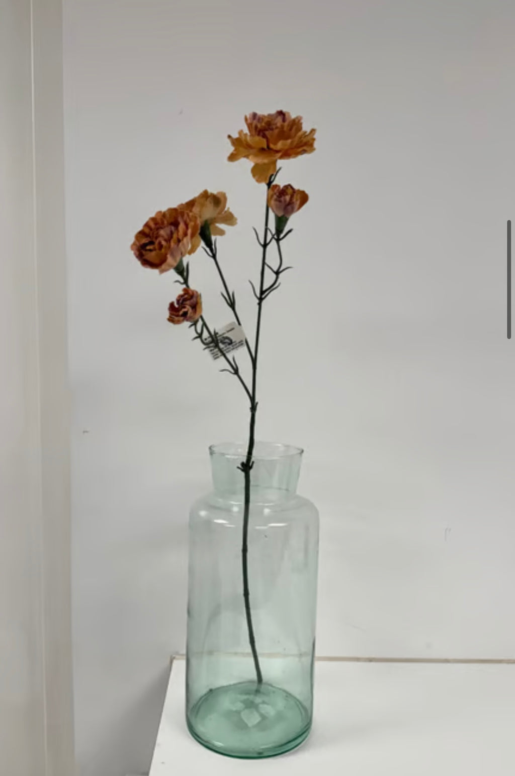 Nellike orange udgår