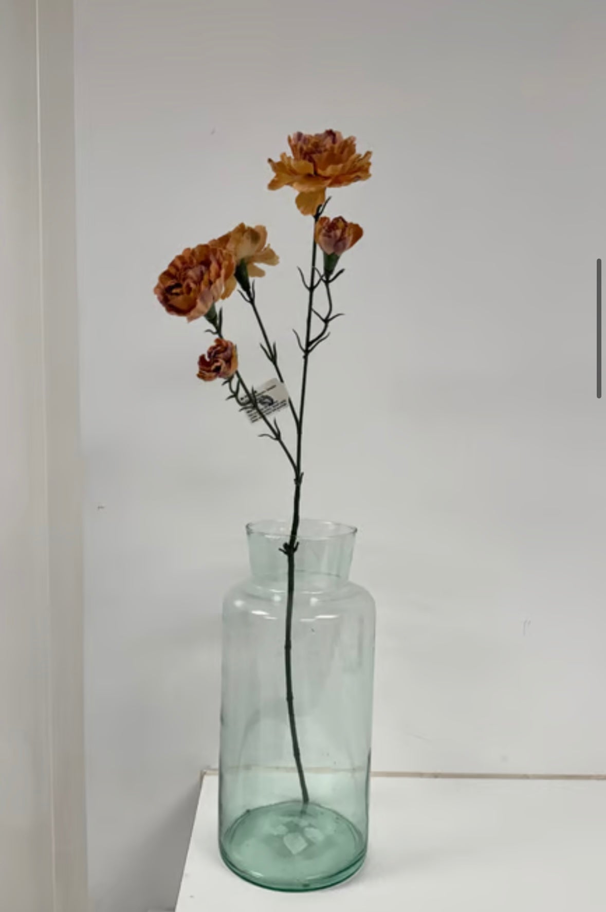 Nellike orange udgår