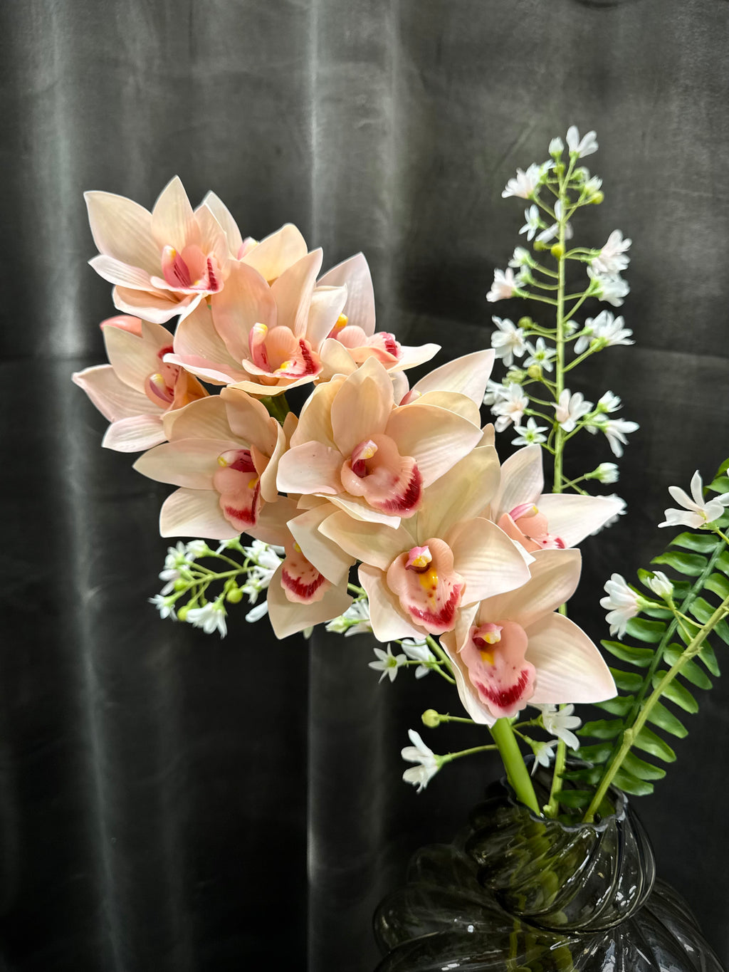 Cymbidium mix