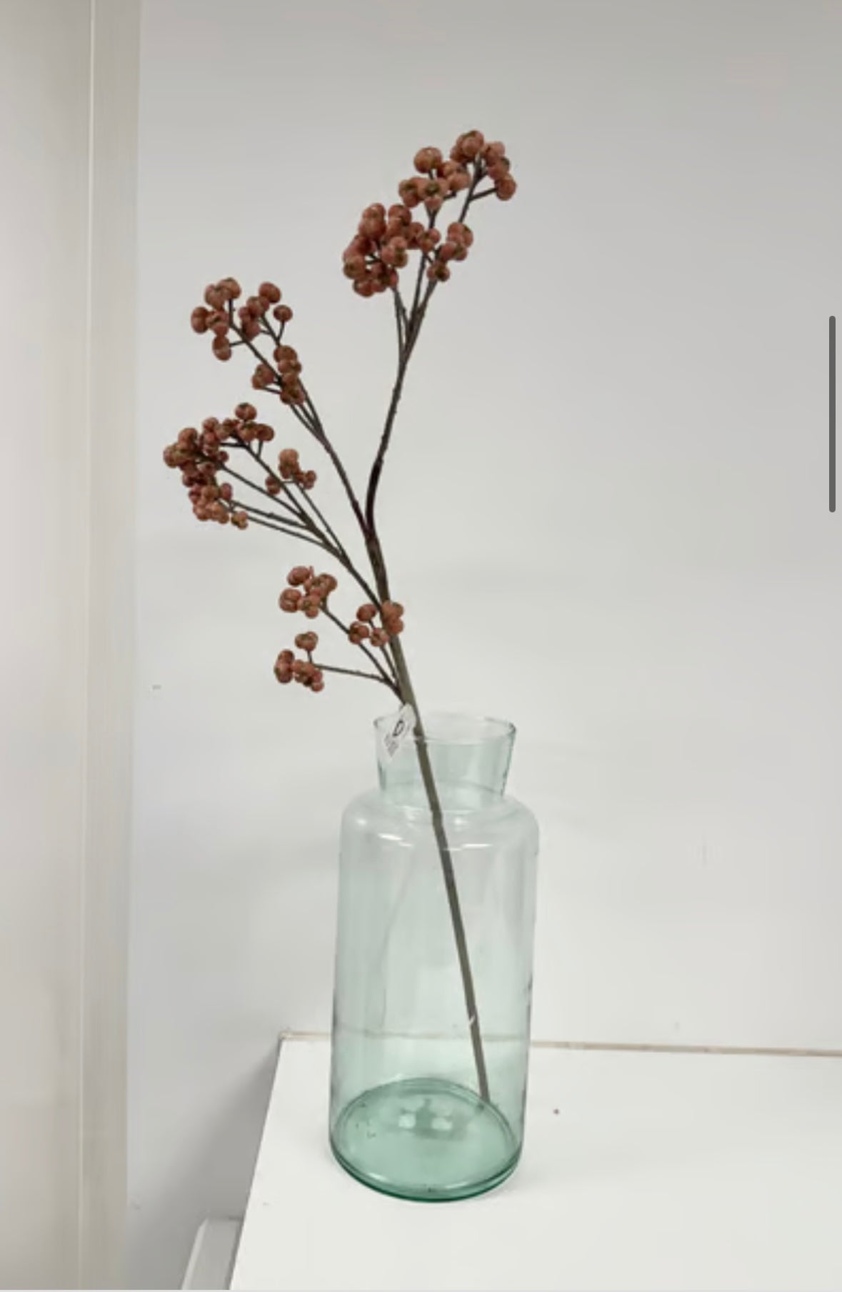 Bærgren rosa udgår