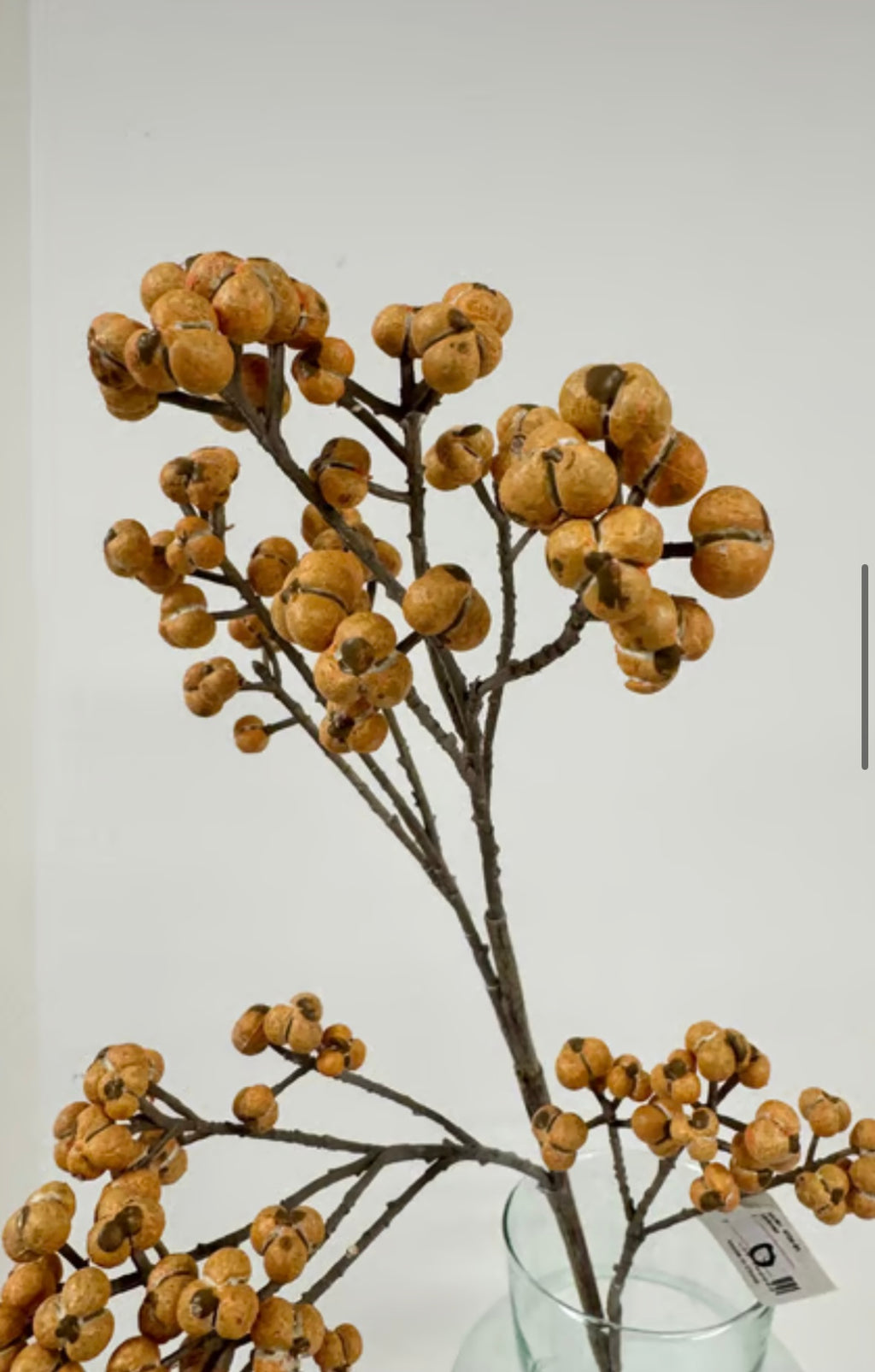 Gren med orange bær udgår