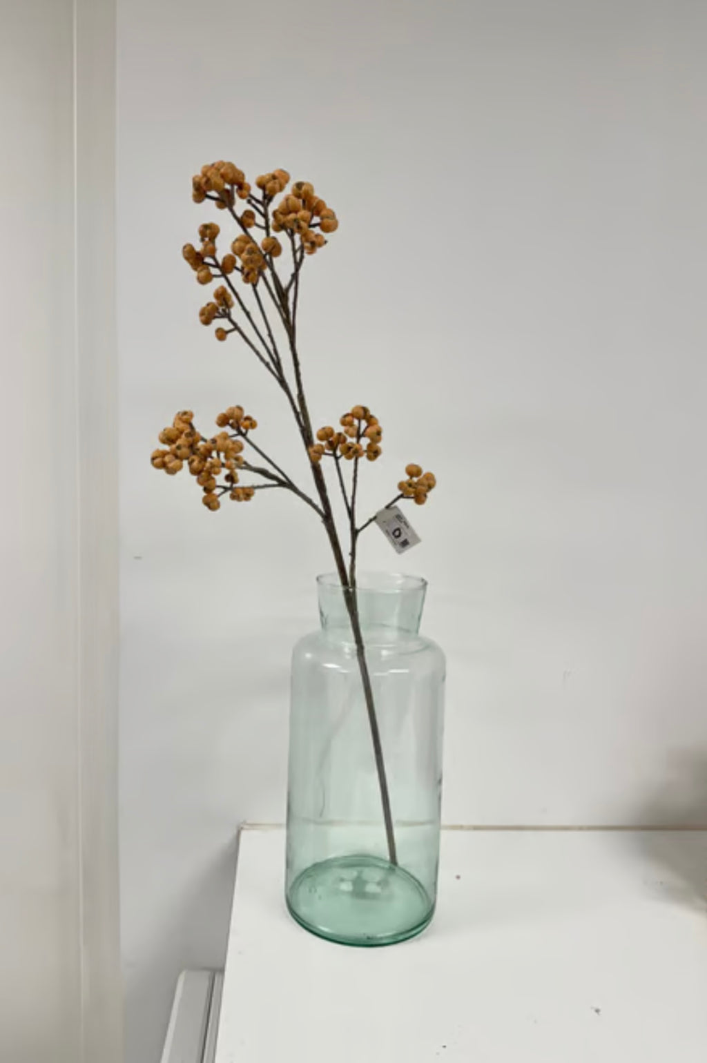 Gren med orange bær udgår