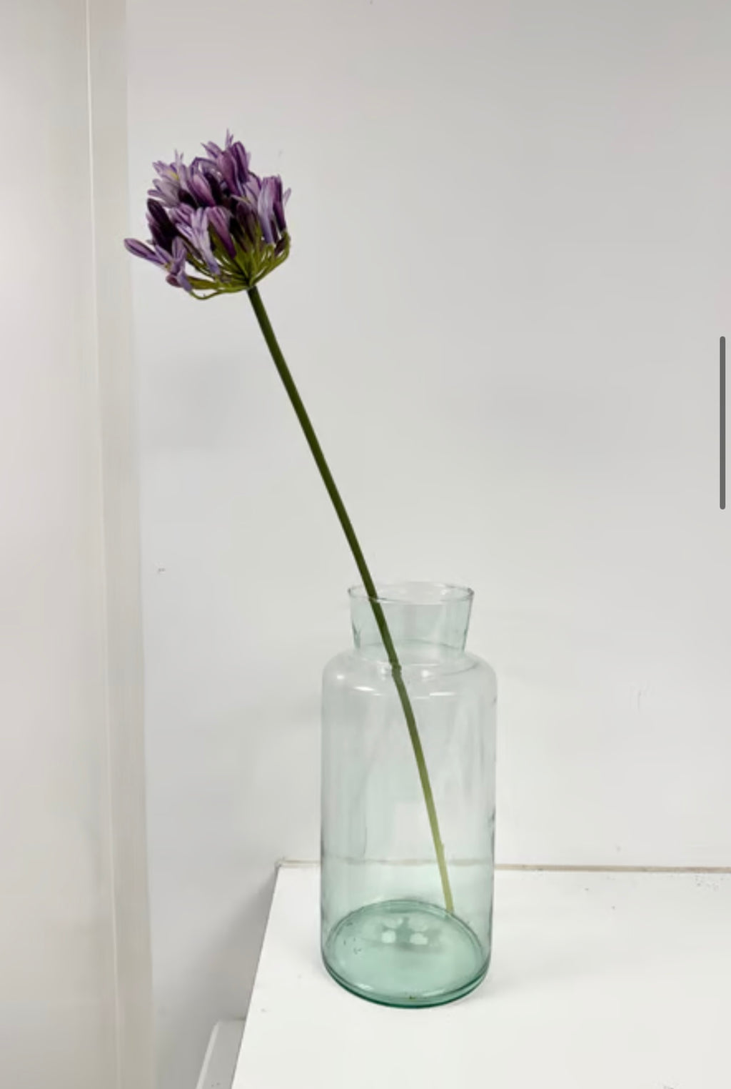 Lilla skærmlilje udgår