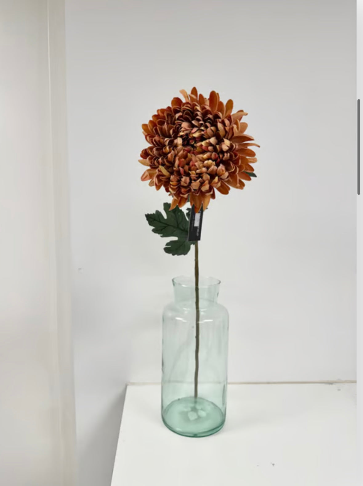 Chrysanthemum orange stor